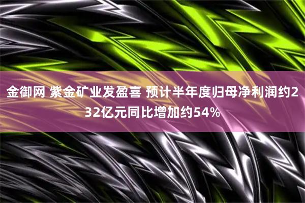 金御网 紫金矿业发盈喜 预计半年度归母净利润约232亿元同比增加约54%