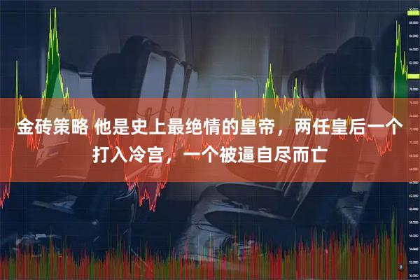 金砖策略 他是史上最绝情的皇帝,两任皇后一个打入冷宫,一个被逼自尽而亡